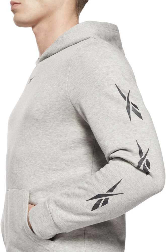 Reebok Sportinis Kostiumas Vyrams Te Vector Tracksuit Pilkas