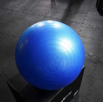 Gimnastikos kamuolys SPORTBAY® 65 cm (Spalva: Mėlyna)