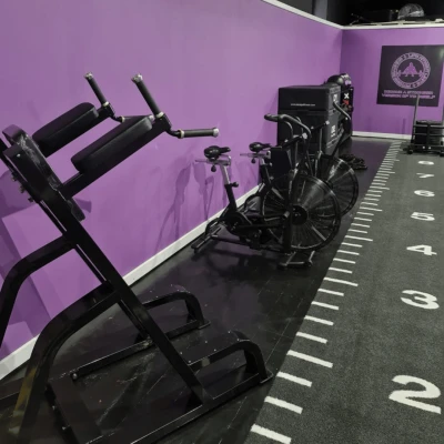 Grindų danga su dirbtine žole Trackz Essential Range 10 × 1,33 m (Spalva: Pilka)