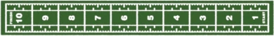 Grindų danga su dirbtine žole Trackz Premium Range 15,4 × 2 m (Spalva: Žalia)