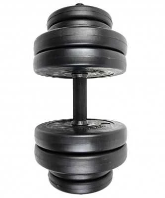 Hantelių rinkinys SPORTBAY 2 x 15 kg