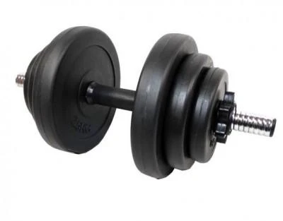 Hantelių rinkinys SPORTBAY 2 x 10 kg