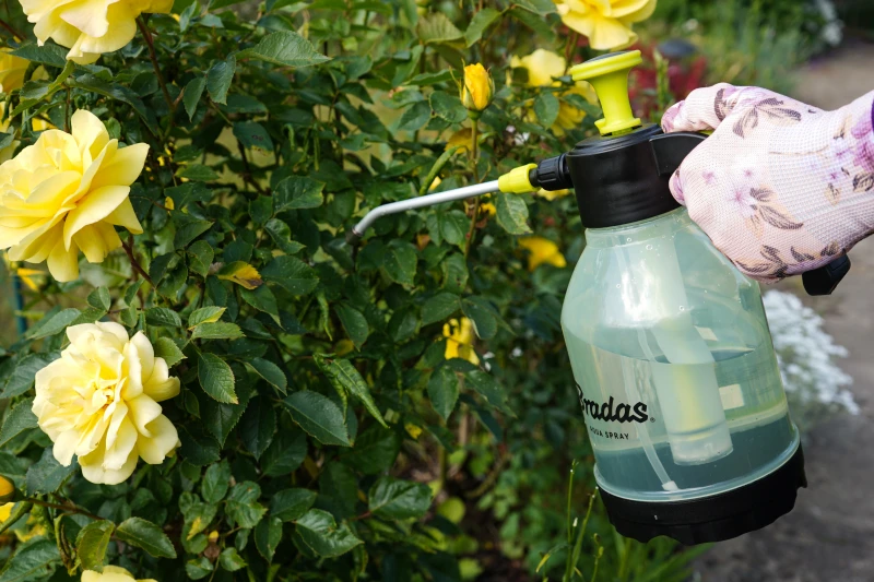 BRADAS RANKINIS PURKŠTUVAS „AQUA SPRAY” 2,0l CLEAR