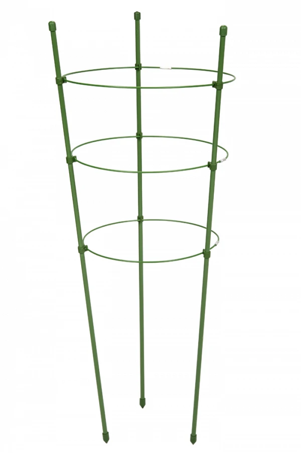 Bradas ŽIEDAS ATRAMAS AUGALMS 60cm