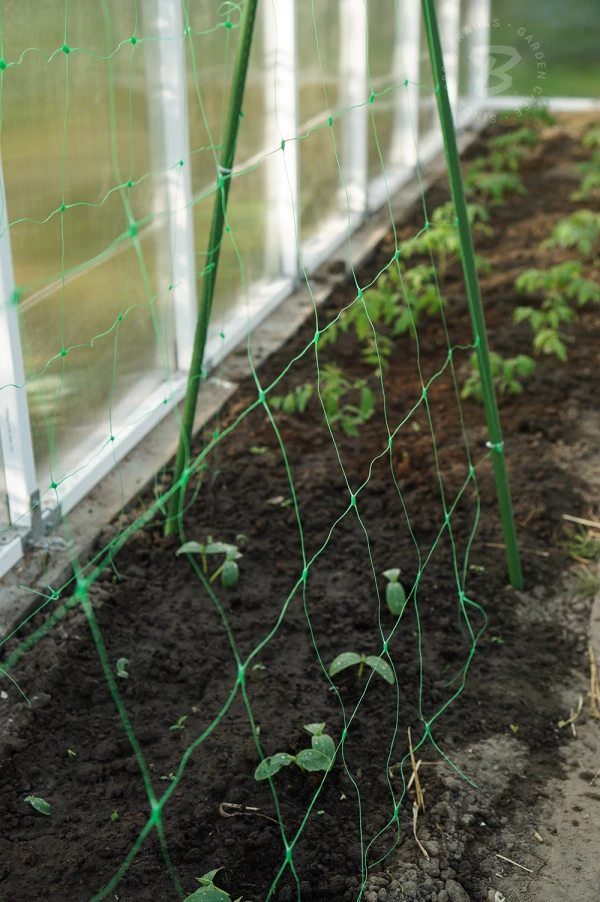 Bradas SIATKA PODPORA DO ROŚLIN PNĄCYCH PLANT NET 2x10m