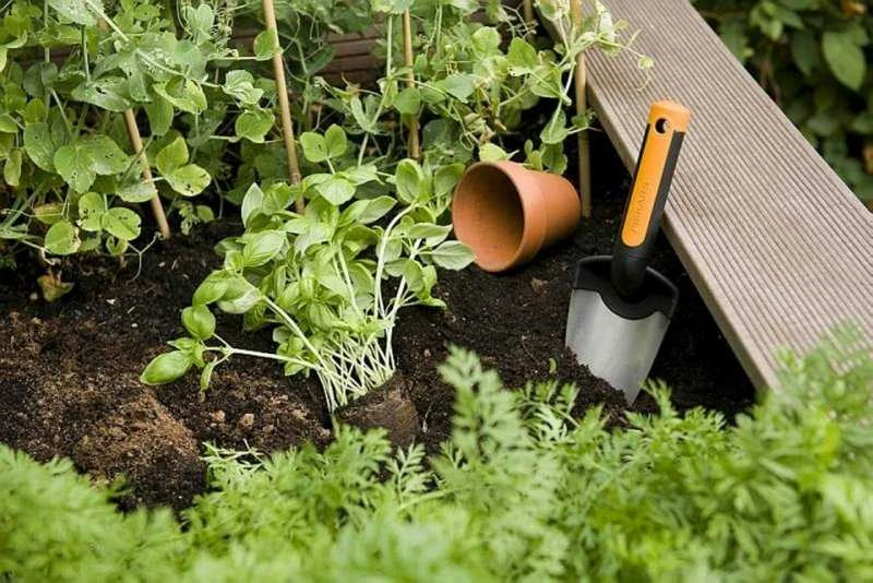 Fiskars Kastuvėlis 1000726