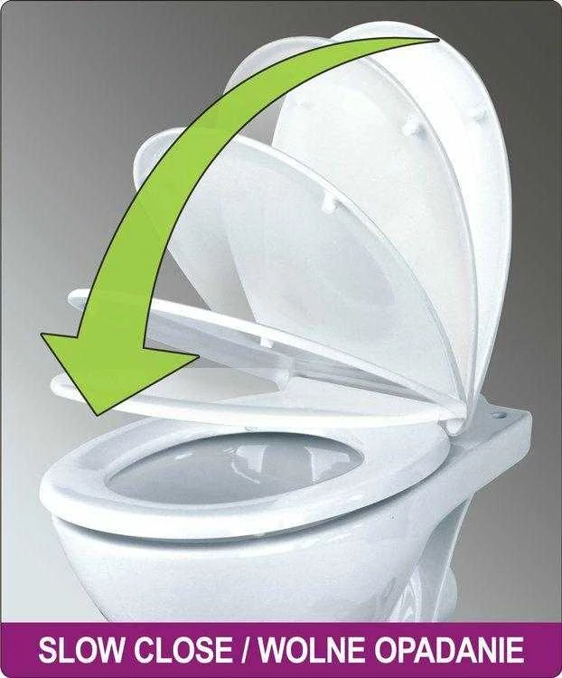 FALA WC DANGTIS LĖTAI NUSILEIDŽIANTIS SLIM D-U NUIMAMAS