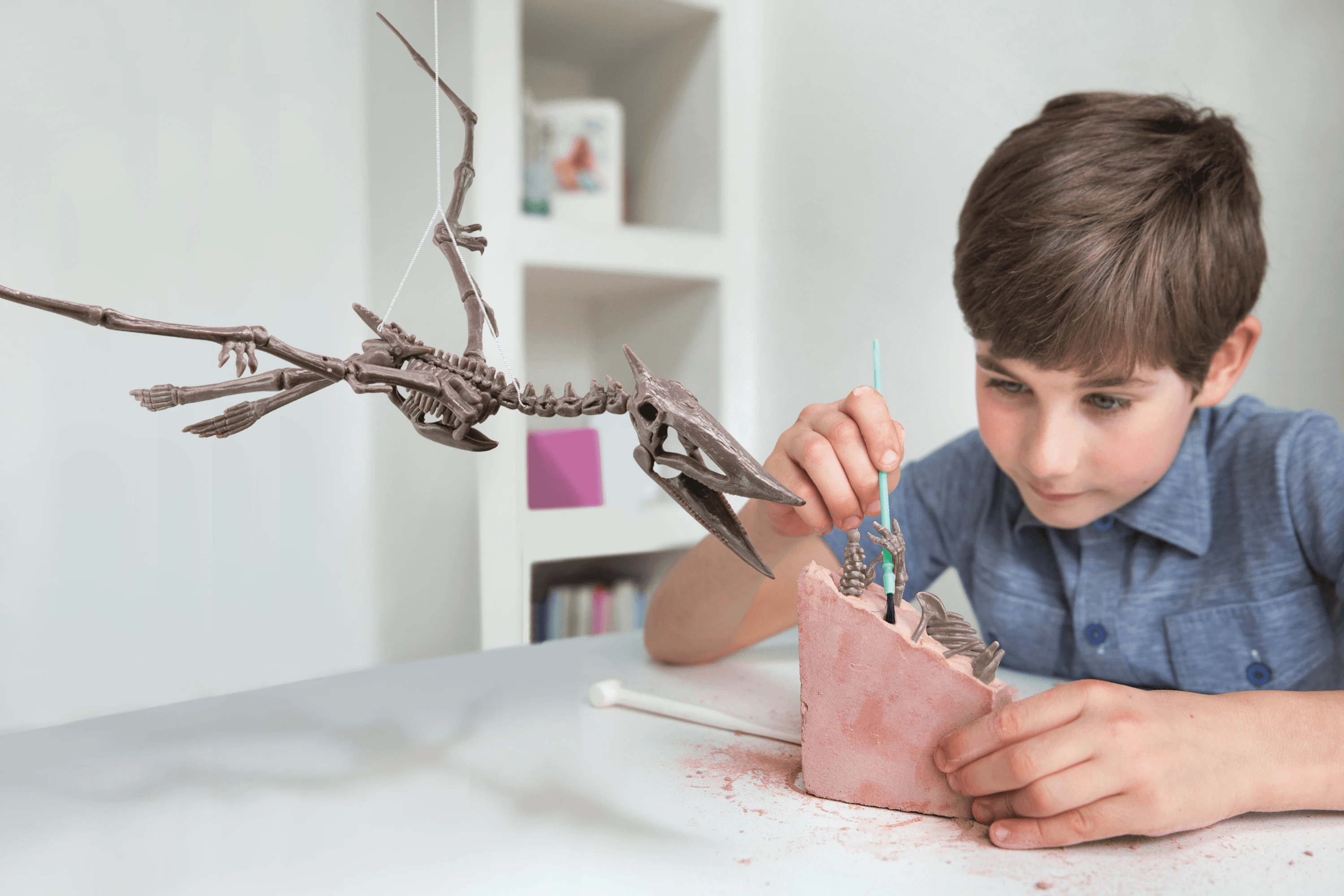 4M Kasinėjimų rinkinys „Pteranodonas"