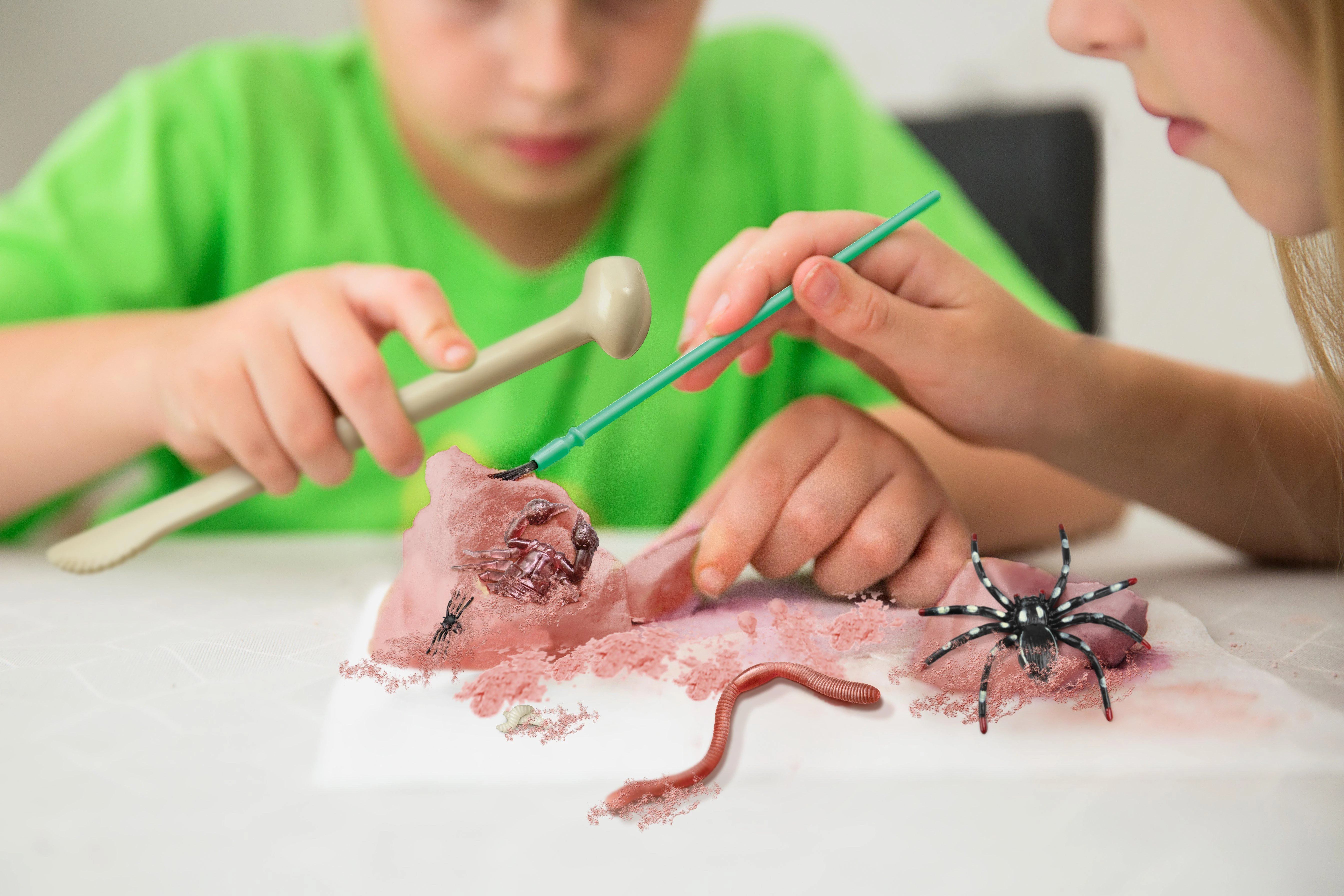 4M Vaikiška laboratorija: šiurpių ropojančių gyvių kasinėjimo rinkinys