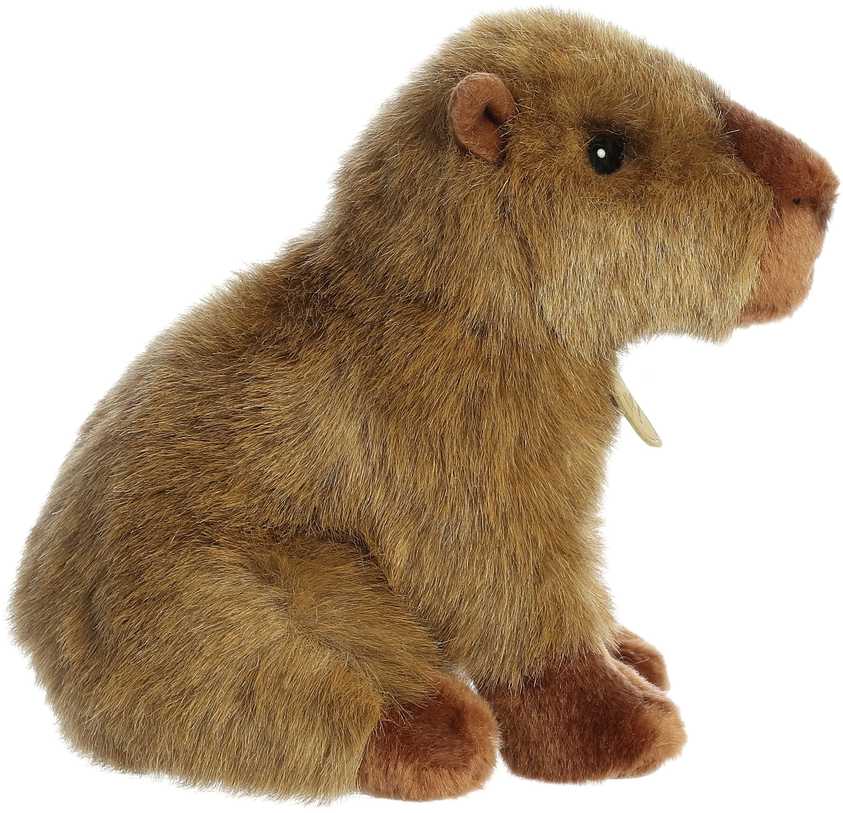 AURORA PLUSH AURORA MIYONI Pliušinė kapibara, 20 cm