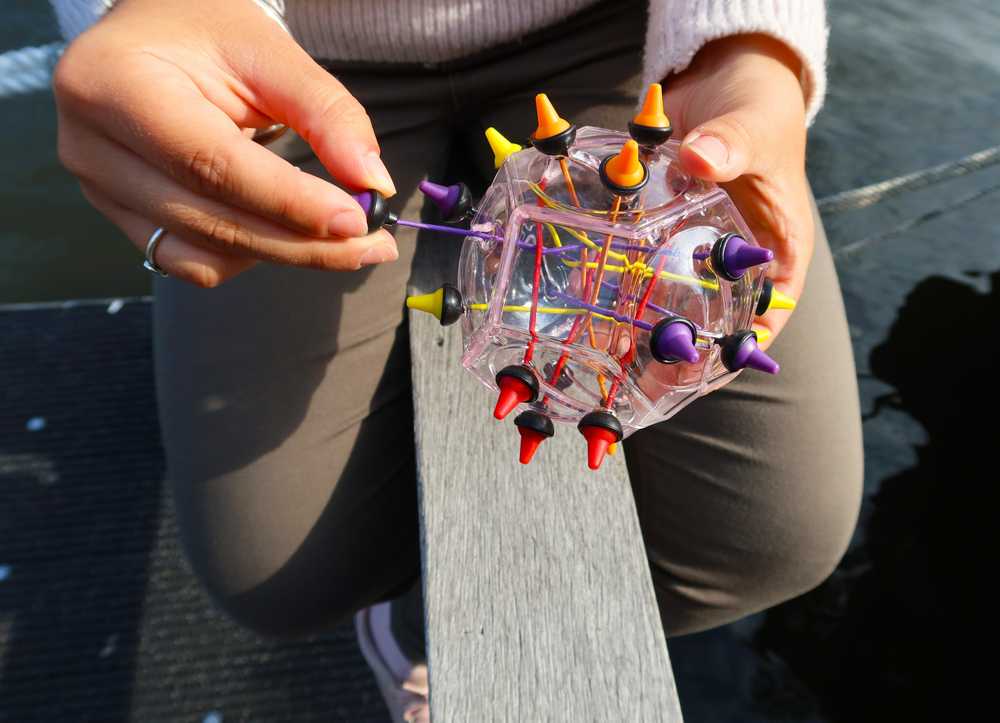 Dėlionė RECENT TOYS Galvosūkis BRAIN STRING ADVANCED