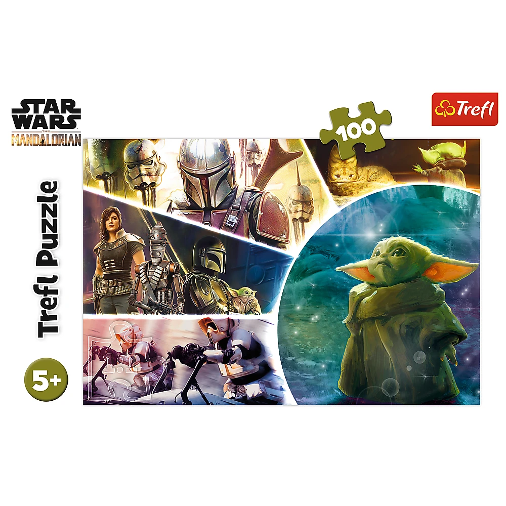 Trefl Dėlionė 100 vnt. - Žvaigždžių karai (Star Wars)