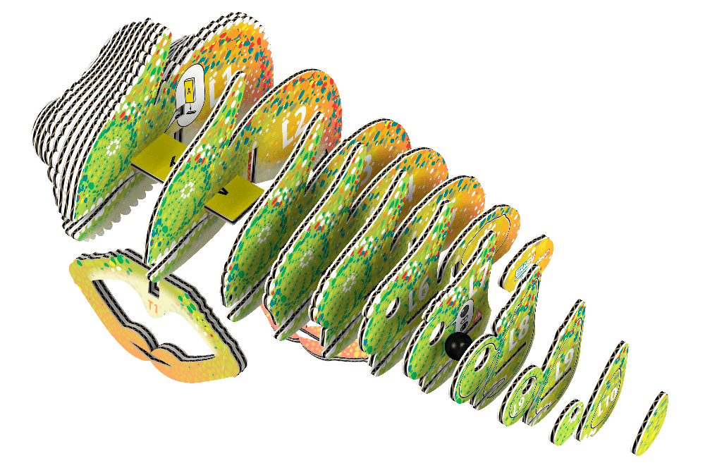 Dėlionė EUGY 3D kartoninis modelis „Chameleonas“
