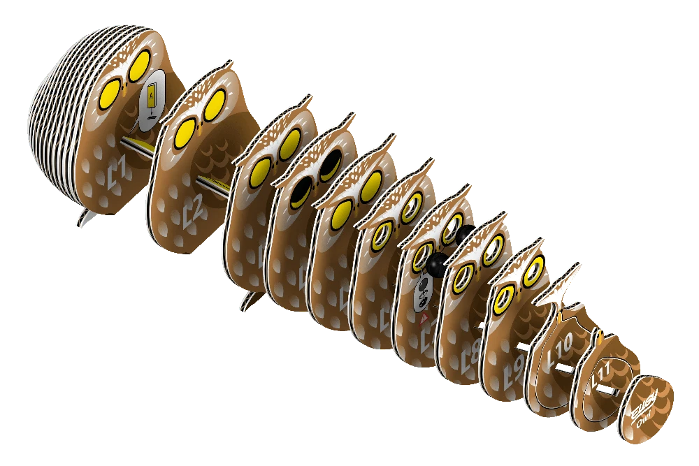 Dėlionė EUGY 3D kartoninis modelis „Pelėda“