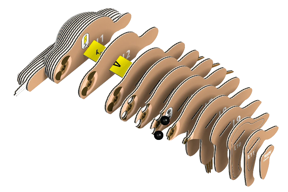 Dėlionė EUGY 3D kartoninis modelis „Tinginys“