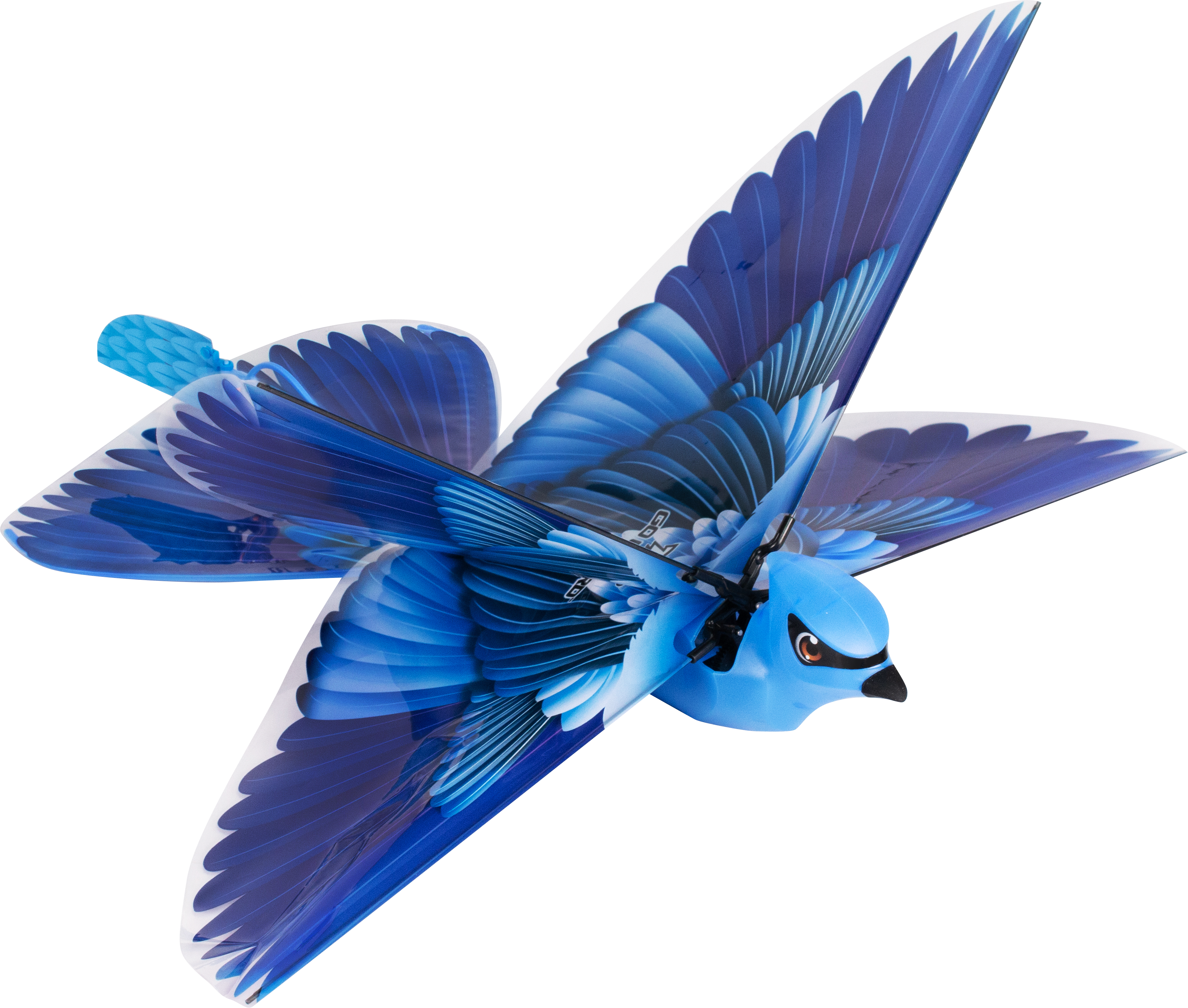 GO GO BIRD Interaktyvus paukščiukas