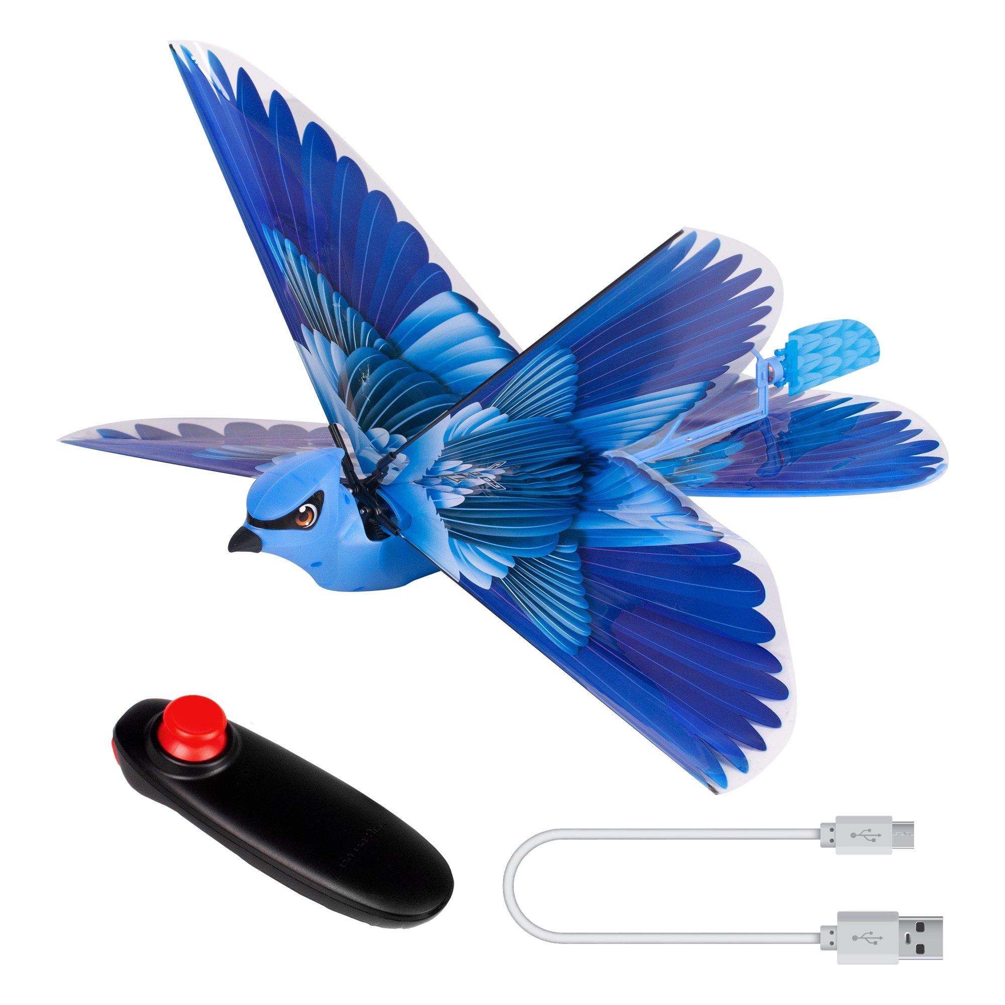 GO GO BIRD Interaktyvus paukščiukas