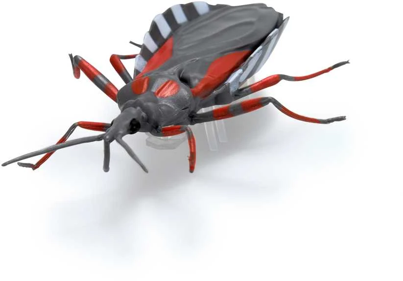 HEX BOTS Interaktyvūs nano gyviai, 5 vnt.