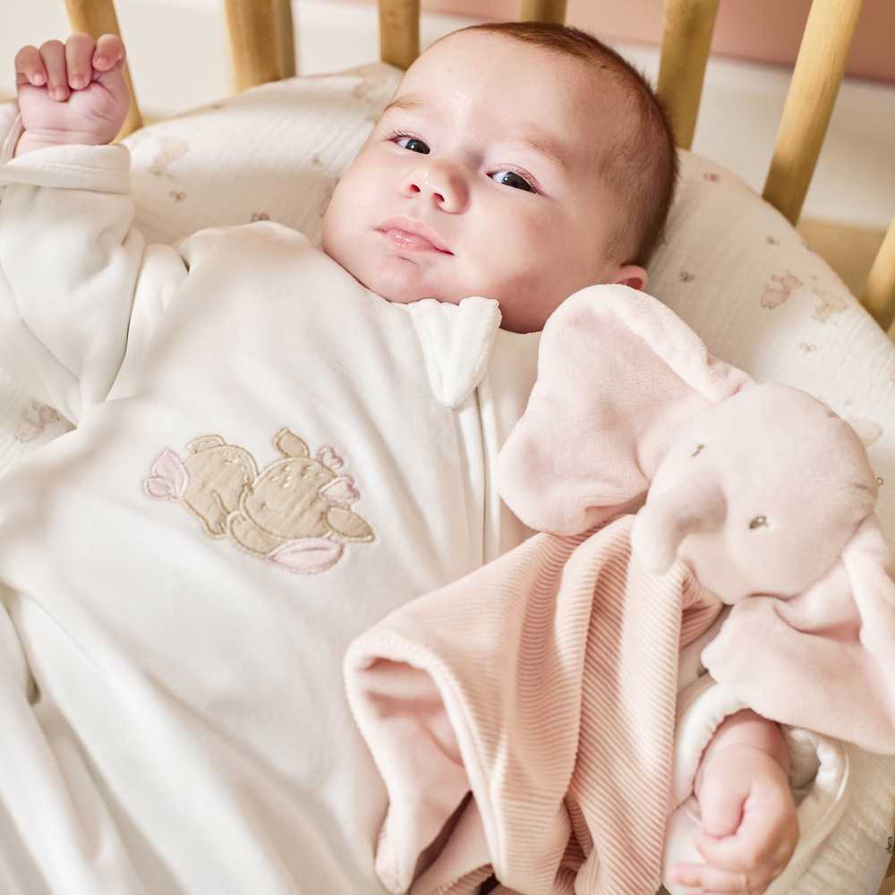 NATTOU Fanfan Doudou elephant pink