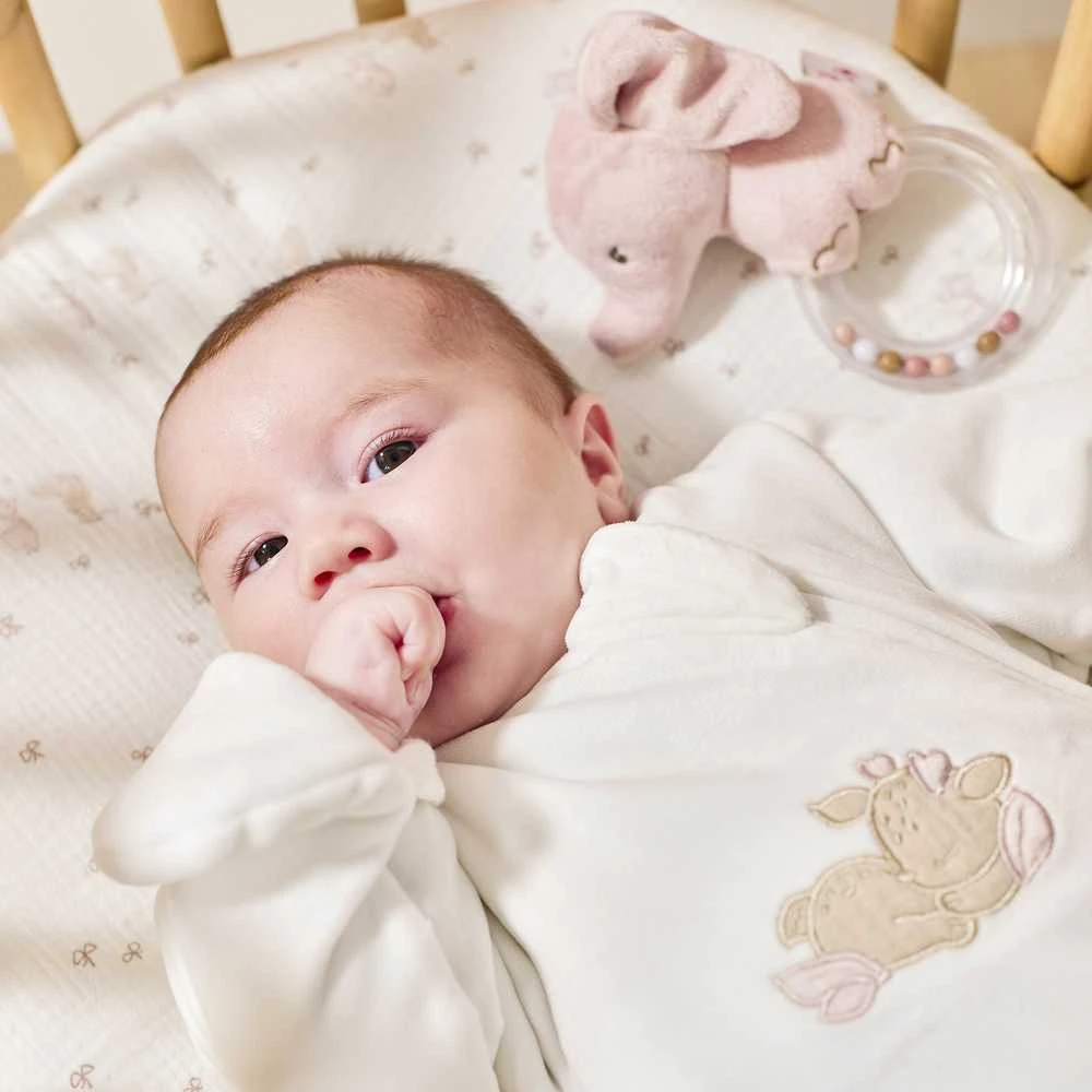 NATTOU Fanfan rattle elephant