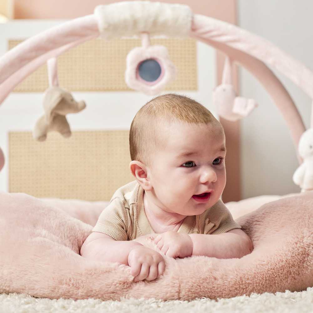 NATTOU Fanfan Stuffed playmat with arches