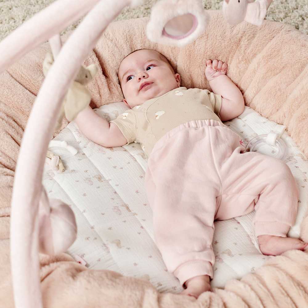NATTOU Fanfan Stuffed playmat with arches