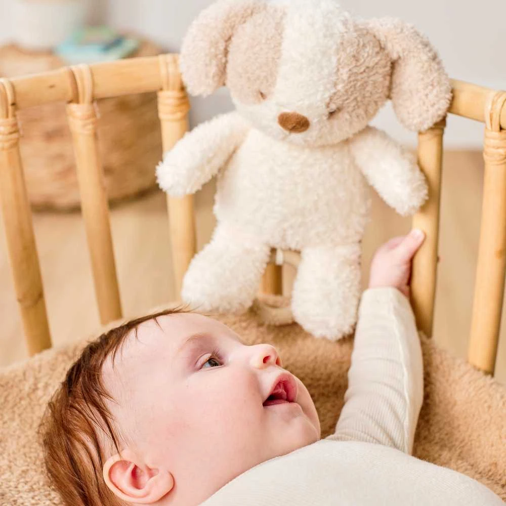 NATTOU TEDDY Muzikinis šuniukas, 16 cm