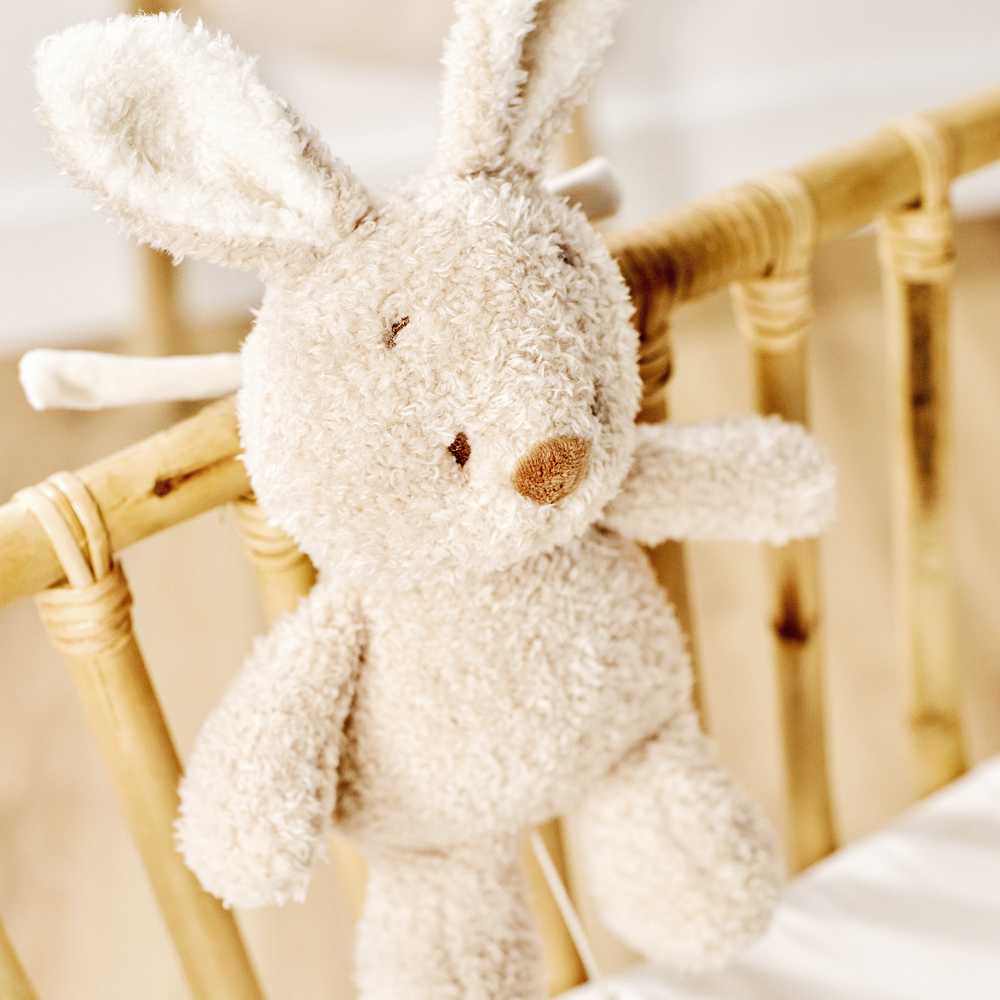 NATTOU TEDDY Muzikinis zuikutis, 16 cm