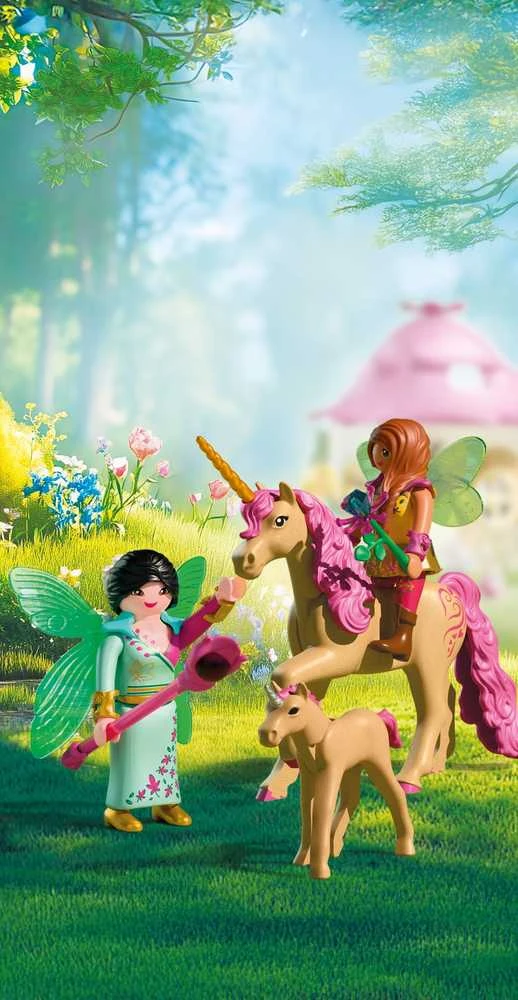 Konstruktorius Playmobil Fairies' Day Trip (72067)