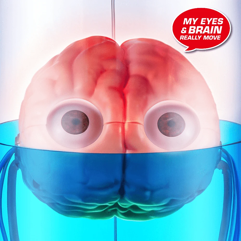 Robo Alive ROBOALIVE Interaktyvus žaislas „Brian the Brain“