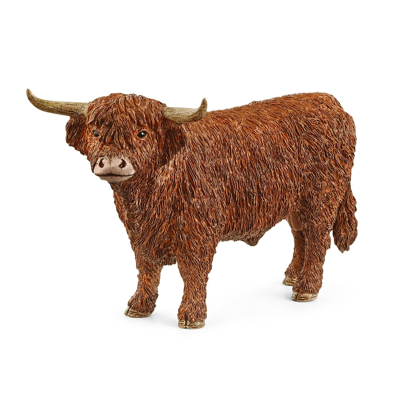 Schleich figūrėlė Aukštikalnių bulius