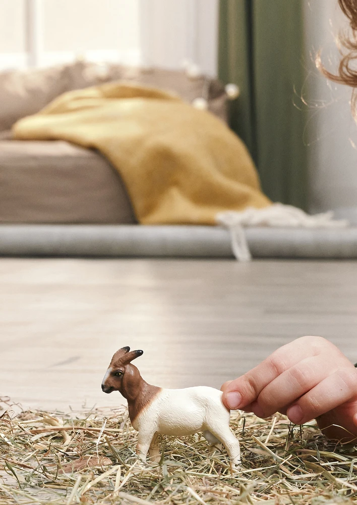 Schleich figūrėlė Būrų veislės ožka
