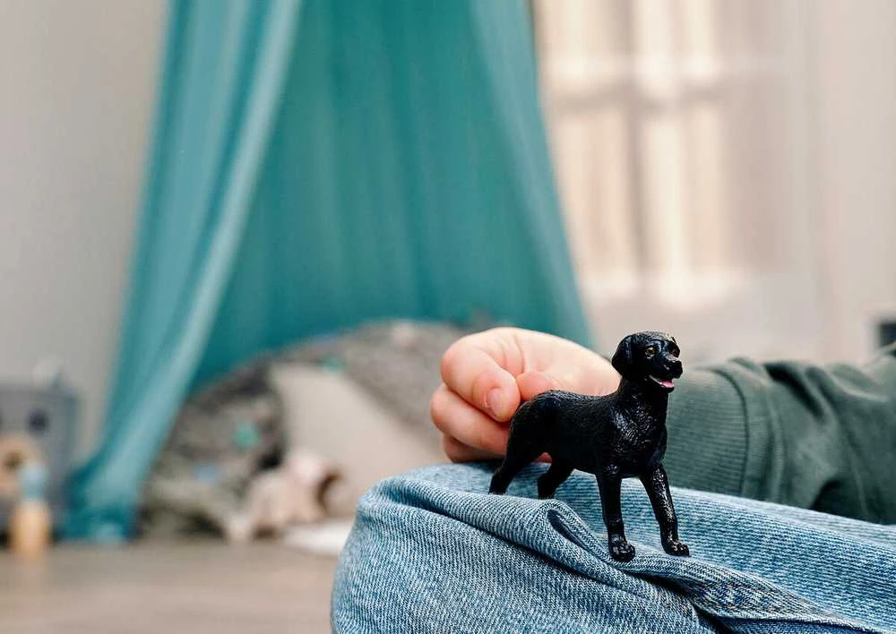 SCHLEICH FARM WORLD Juoda labradoro retriverio patelė
