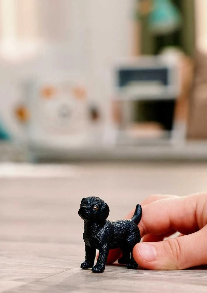 Schleich figūrėlė Juodas labradoro retriveris