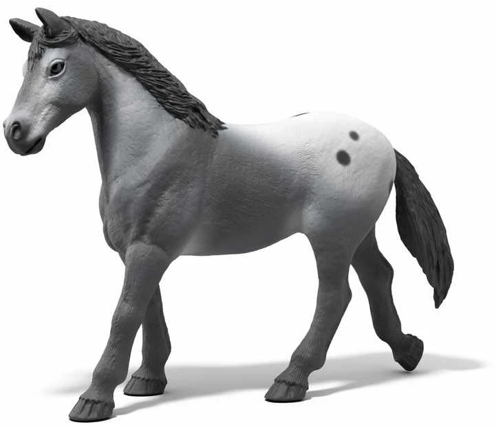 SCHLEICH HORSE CLUB Lizos turnyro treniruotė