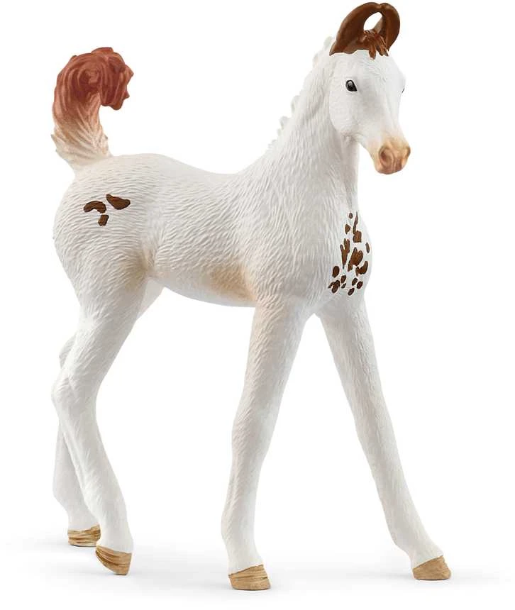 Collecta SCHLEICH HORSE CLUB Marwari veislės kumeliukas