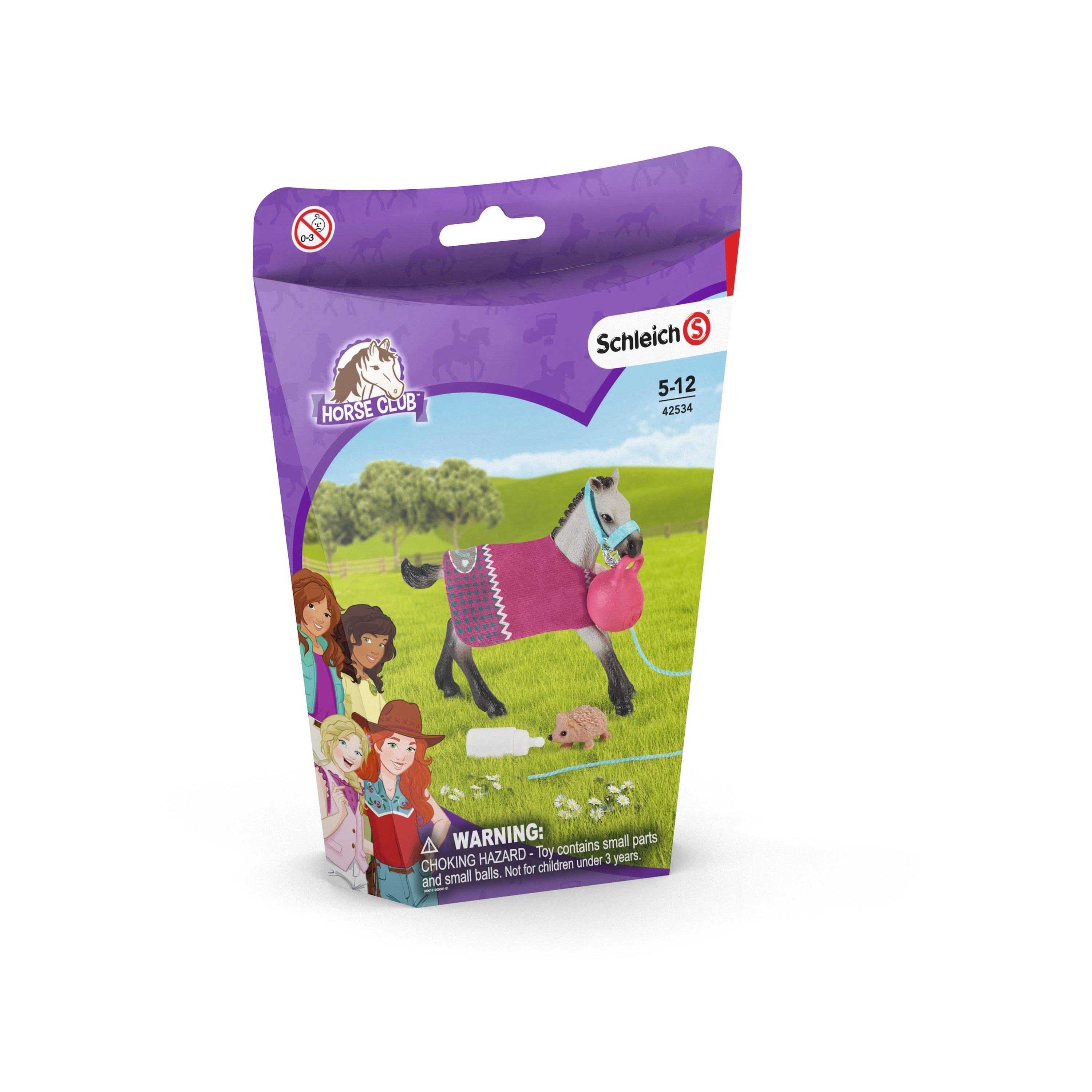 SCHLEICH „Arklių klubo“ Rinkinys - Pramogos su kumeliukais
