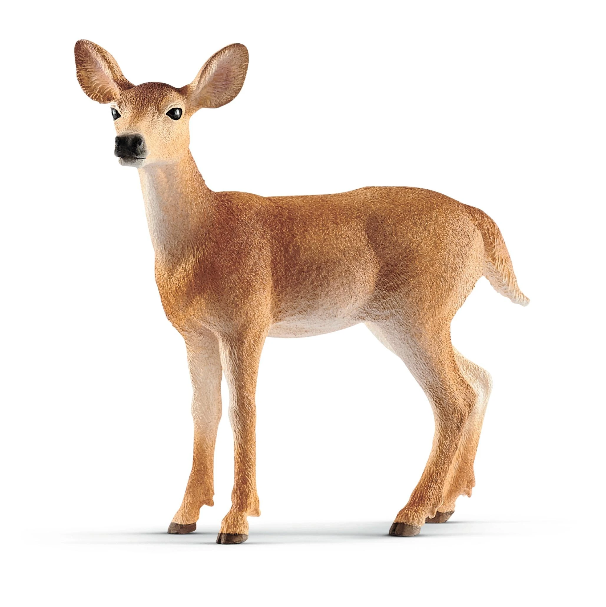 Schleich figūrėlė Baltauodegio elnio patelė
