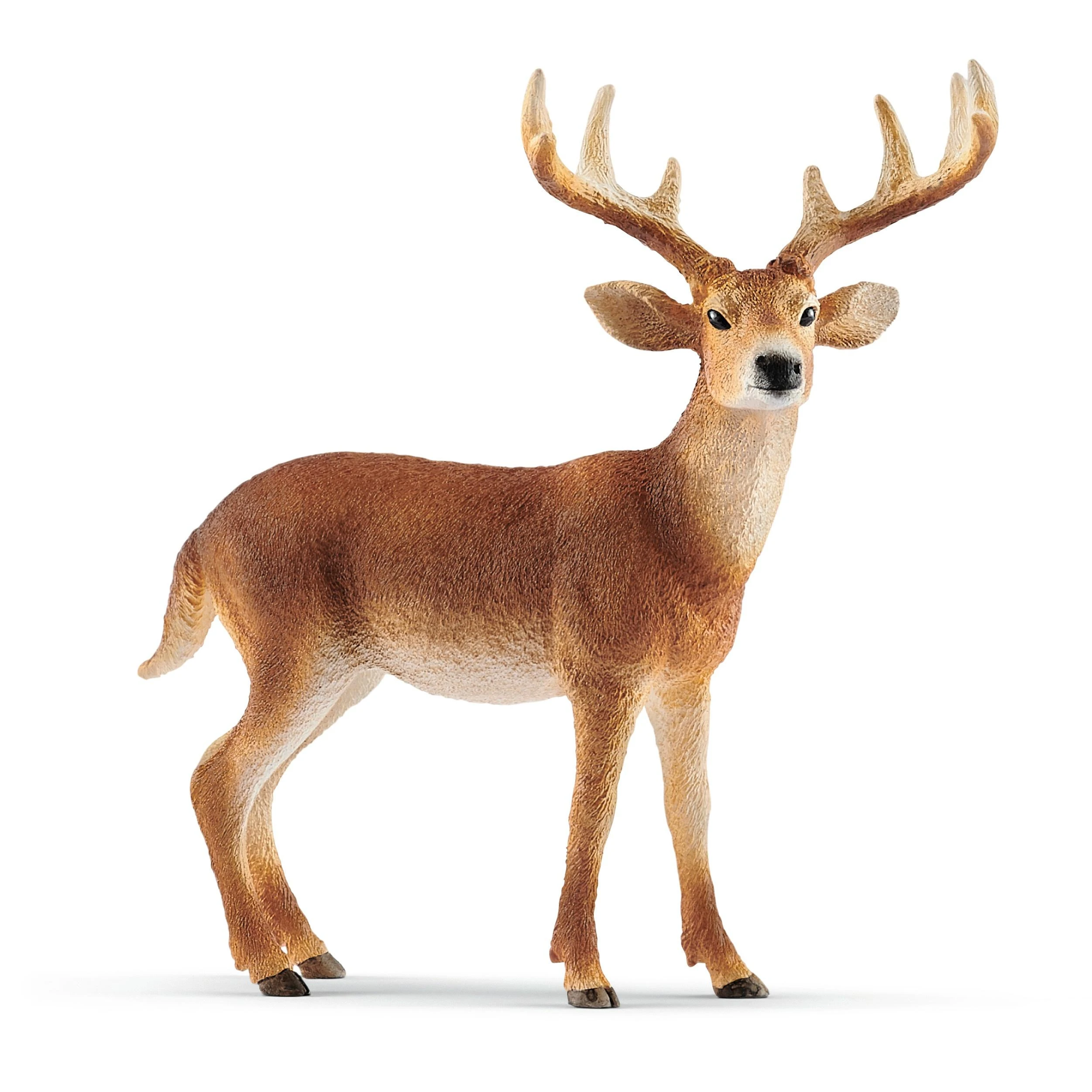 Schleich figūrėlė Baltauodegis elnias
