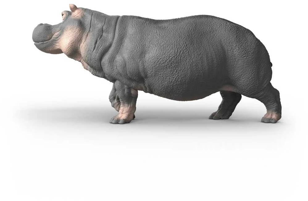 SCHLEICH WILD LIFE Begemotas