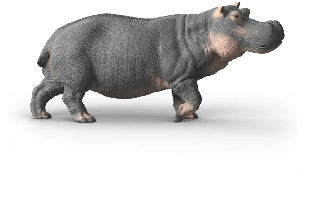 SCHLEICH WILD LIFE Begemotas