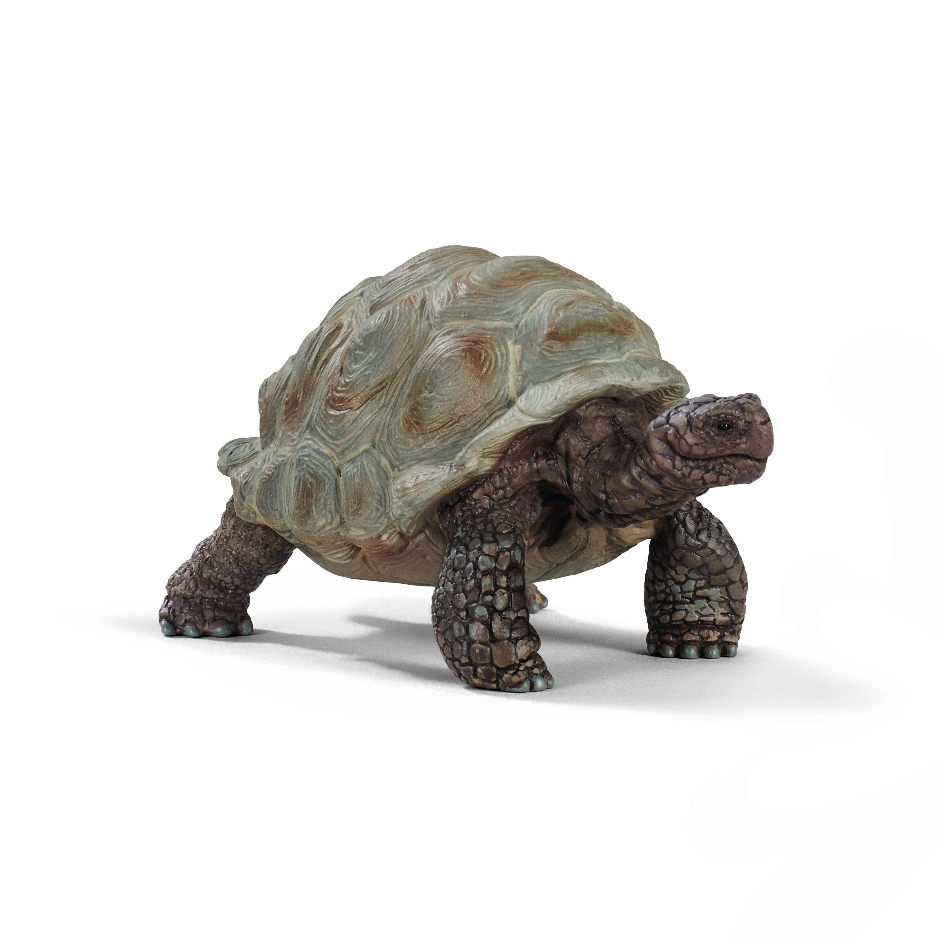 Schleich figūrėlė Galapagų vėžlys