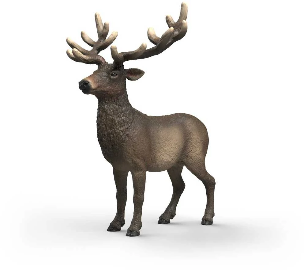 SCHLEICH WILD LIFE Elnias