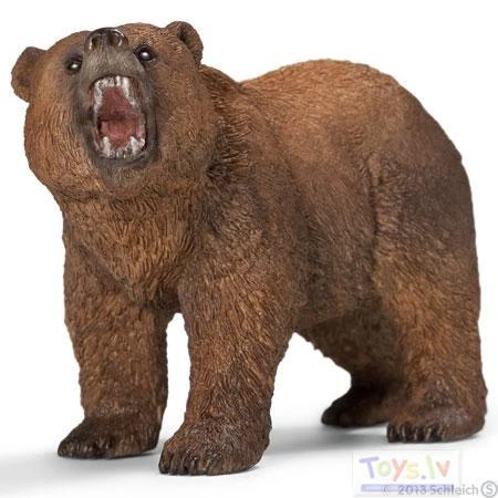 Schleich figūrėlė Lokys Grizlis, Patinas