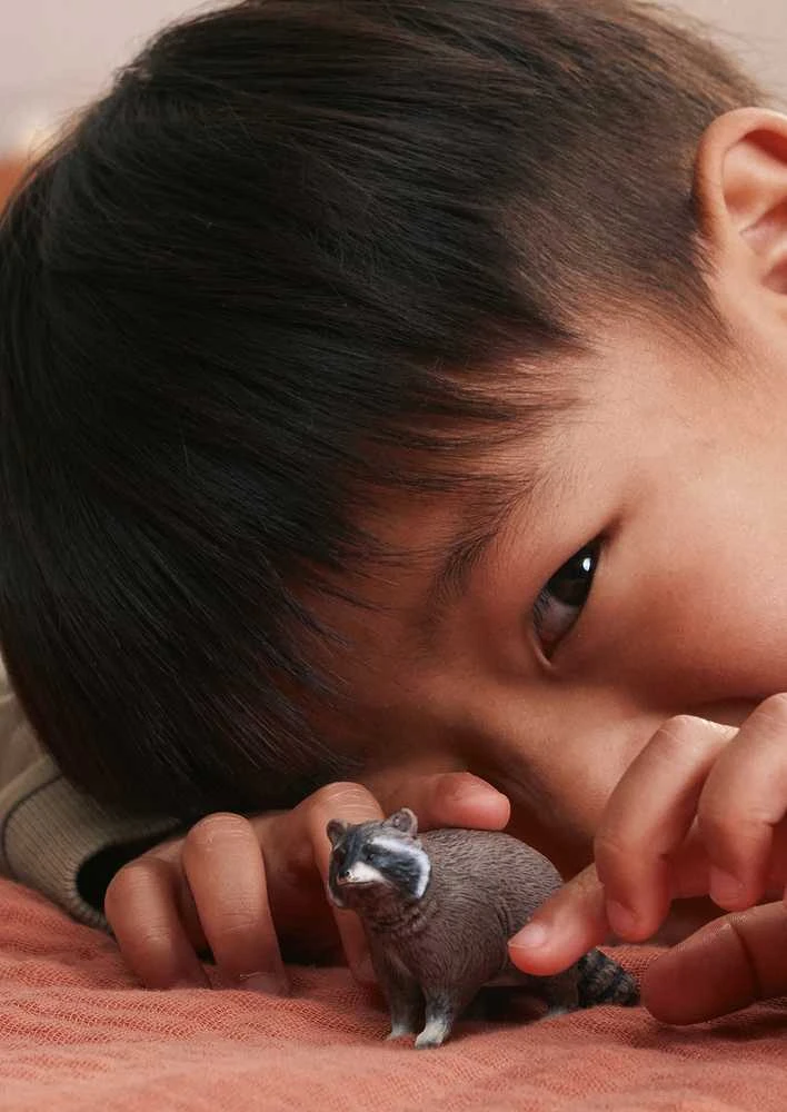 SCHLEICH WILD LIFE Meškėnas