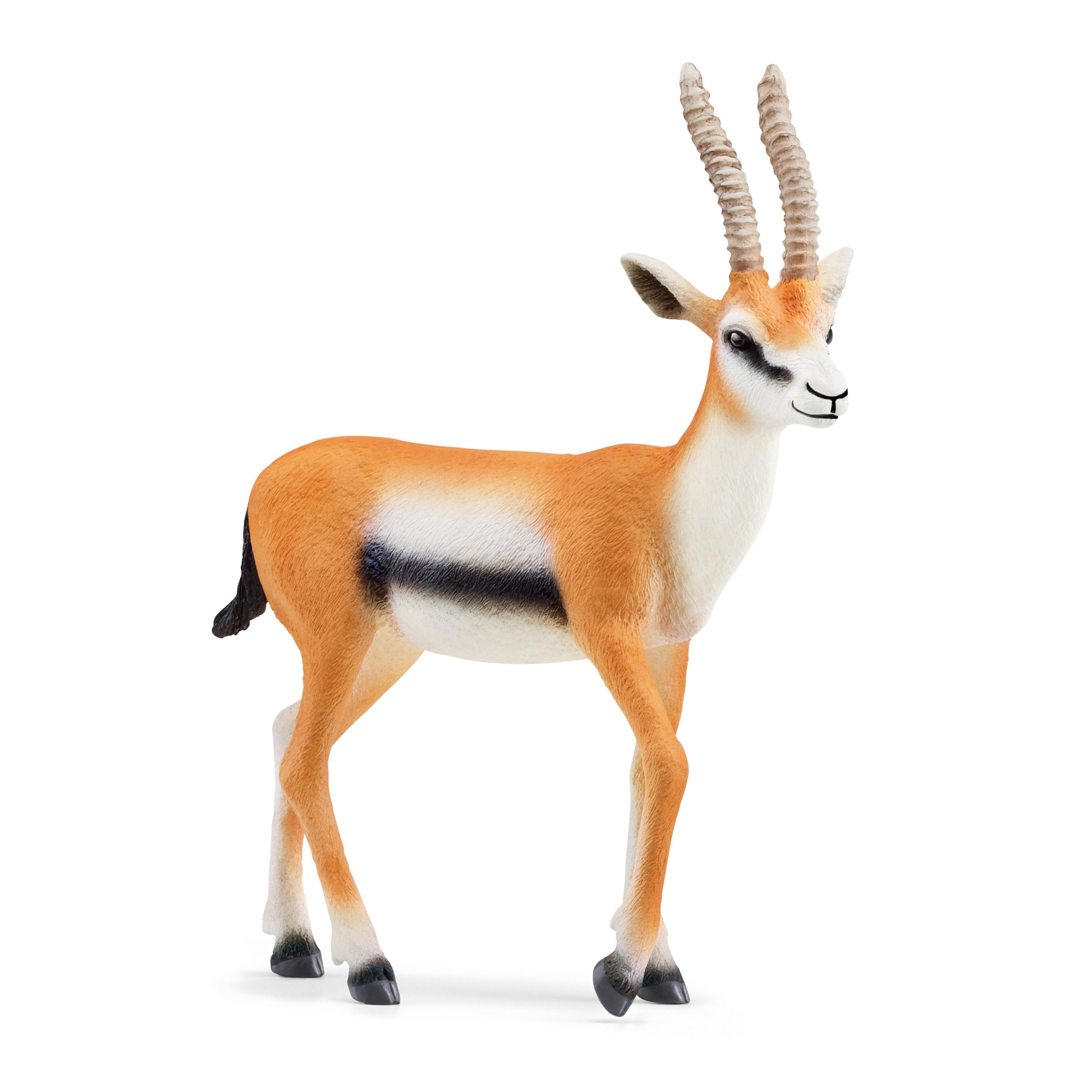 Schleich figūrėlė Tomsono gazelė aprašymas - Prekės nuotrauka
