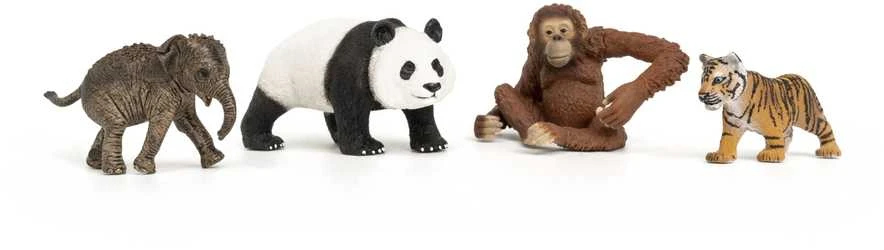 SCHLEICH WILD LIFE Wild Life Pradinis Rinkinys