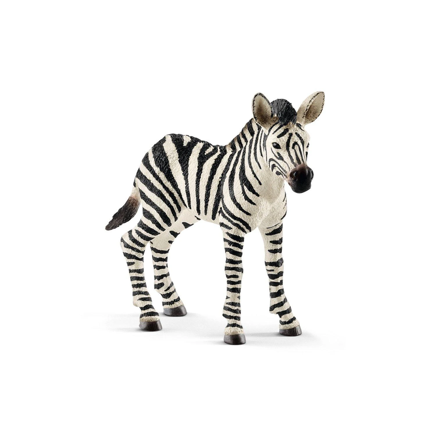 SCHLEICH „Wild Life“ figūrėlė Zebriukas