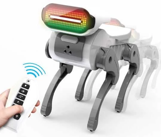 Dumel SILVERLIT robot Robotas Express