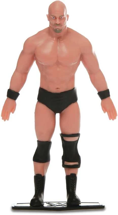 TCG Flexfigs Figūrėlė „WWE Legendos“